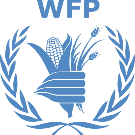 World Food Programme Logo Simple svg